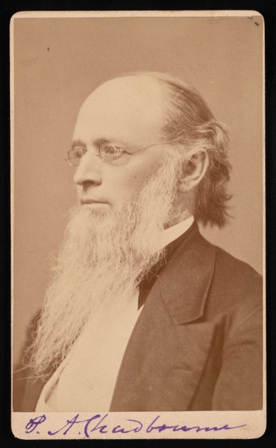 Retrato de Paul Ansel Chadbourne 1823-1883, entre 1872 y 1875 de John Lyman Lovell