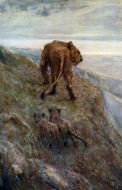 En alerta - Leona y cachorros, c. 1878-1910, 1912 de John Macallan Swan