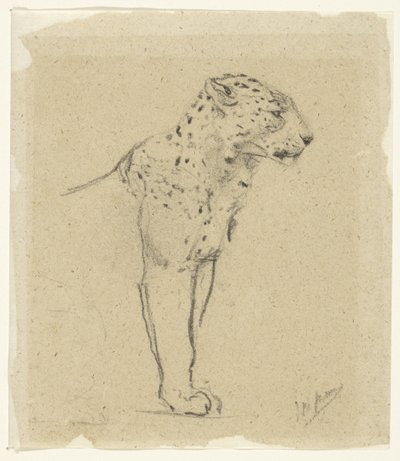 Estudio de un leopardo en pie de John Macallan Swan