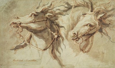 Dos cabezas de caballos de John Michael Rysbrack