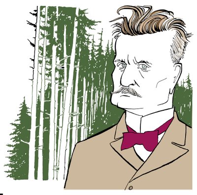 Jean Sibelius sobre un fondo de bosques finlandeses de John Minnion