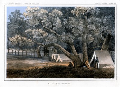 Un bosque de álamos, 1856 de John Mix Stanley