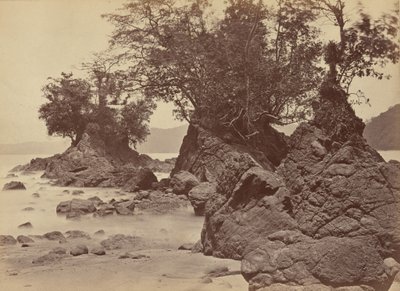 Islas, Bahía Limón,1871 (foto) de John Moran