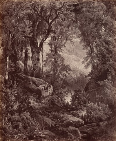 Solitude,1865 (foto) de John Moran
