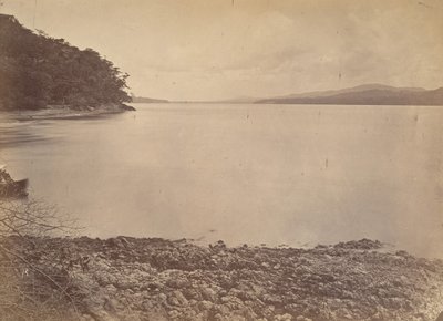 Paisaje tropical, Puerto de Darién - Mirando al sur, 1871 de John Moran