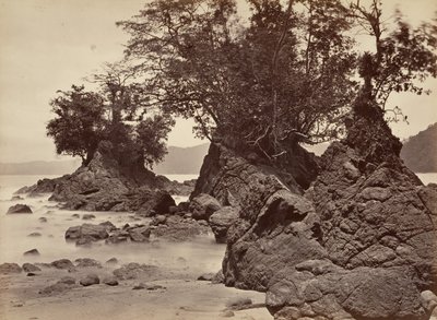 Paisaje tropical, Bahía Limón - Marea baja de John Moran
