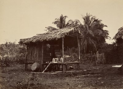 Escenario Tropical, Cabaña Nativa, Turbo de John Moran
