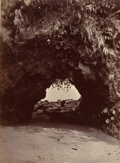Paisaje tropical, Arco Natural, Bahía de Cupica, 1871 de John Moran