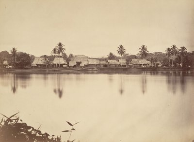 Paisaje tropical, Santa María del Real, Darién de John Moran