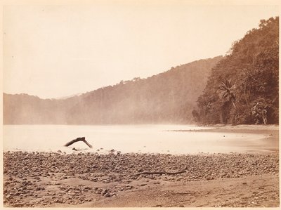 Paisaje Tropical: La Terminal del Canal Propuesto, Bahía Limón (Expedición Darién) de John Moran