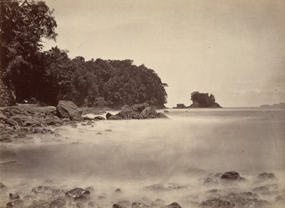 Paisaje tropical, vista de la bahía de Limón, 1871 de John Moran