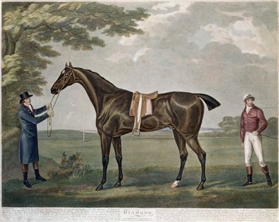 El caballo de carreras Diamond, c.1799 de John Nott Sartorius