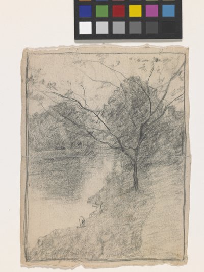 Tree Beside A Stream (lápiz sobre papel blanco) de John Otis Adams