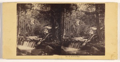 Der Fall des Künstlers de John P. Soule