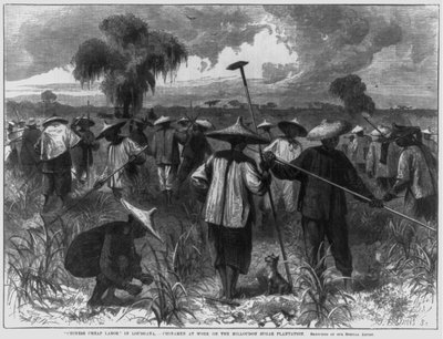 "Trabajo barato chino" en Luisiana - Chinos trabajando en la Plantación de Azúcar Milloudon de John Parker Davis
