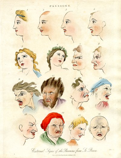 Signos externos de las pasiones de Le Brun de John Pass