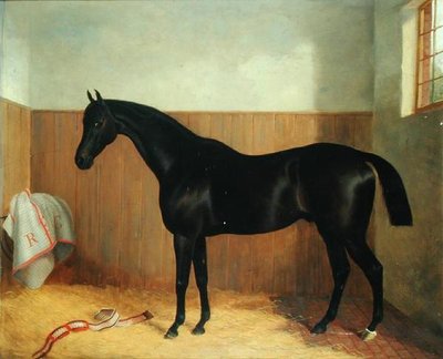 Tommy, retrato de un caballo, c.1870s de John Paul