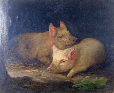Dos cerdos premiados en un interior de John Rabone Harvey