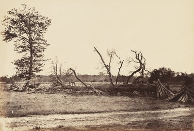 Línea extrema de obras confederadas, Cold Harbor., abril de 1865 de John Reekie