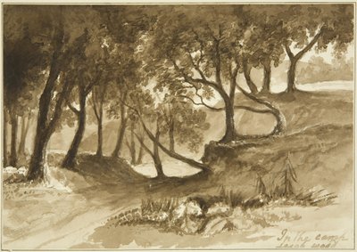 Vista en el Campamento de Burwalls, Leigh Woods de John Reverend Eden