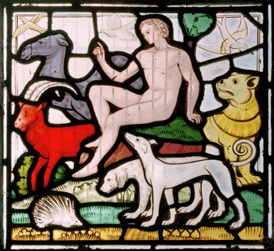 Daylesford, San Pedro, Clayton & Bell, John Richard Clayton (1827-1913), Adán entre los animales, Ventana de la Creación, c.1860 de John Richard Clayton