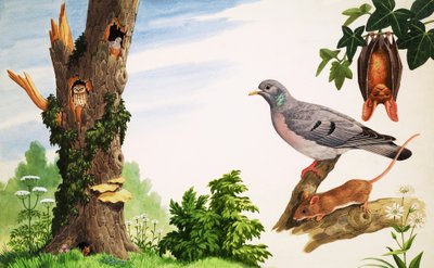 El árbol muerto de John Rignall