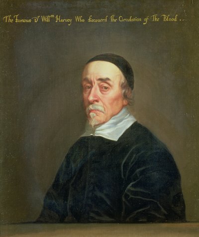 Retrato de William Harvey (1578-1657) de John Riley