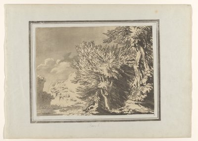 Beuk Haya (título sobre el objeto) Verschillende soorten bomen (título de la serie) Delineaciones del carácter general, ramificaciones y follaje de los árboles forestales (título de la serie) de John Robert Cozens