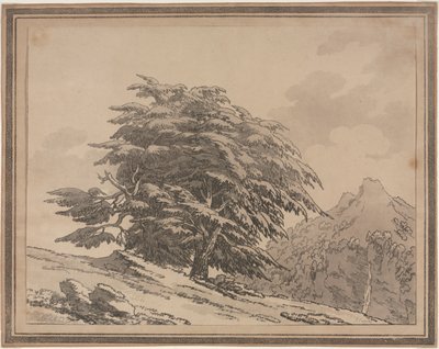Delineaciones del carácter general Ramificaciones y follaje de árboles forestales: cedro de John Robert Cozens
