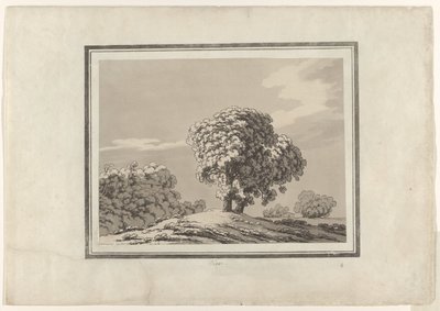 Olmo de John Robert Cozens