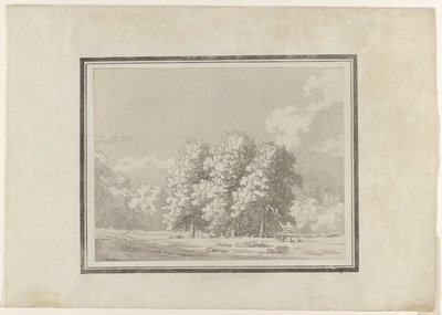Castaño de Indias de John Robert Cozens