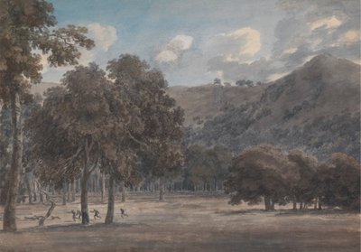 Il Parco degli Astroni - El fondo boscoso del cráter con la caza en curso de John Robert Cozens