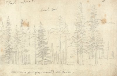 En el Tirol de John Robert Cozens