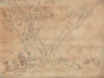 Cerca de Raito, en el Golfo de Salerno de John Robert Cozens