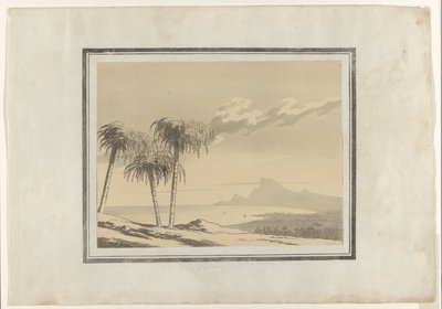 Palma (título en objeto) de John Robert Cozens