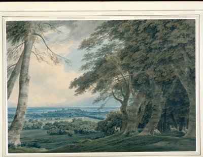 Castillo de Windsor desde el suroeste, c.1787-99 de John Robert Cozens