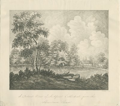 Catedral de Lichfield - Vista Oeste Suroeste (distante) de John Robert Fernyhough