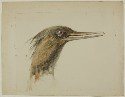 Serreta de John Ruskin