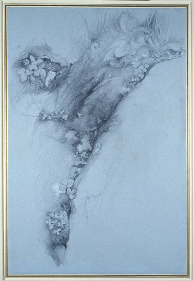 Musgo y fresa silvestre de John Ruskin