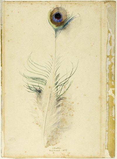 Pluma de pavo real de John Ruskin