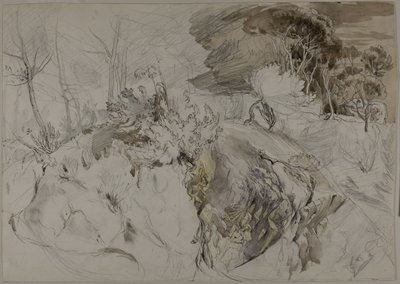 Arbustos y árboles en paisaje rocoso de John Ruskin