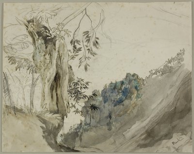 Castaño español de John Ruskin