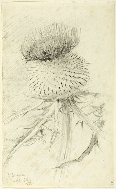 San Cergues de John Ruskin