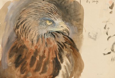 La cabeza de un milano, de la vida, 30 de agosto-1 de septiembre de 1870 de John Ruskin