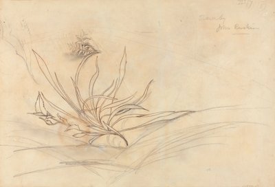 La orilla rocosa de un río de John Ruskin