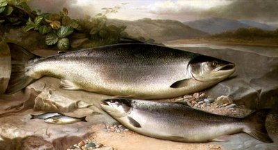 Naturaleza muerta de peces de John Russell