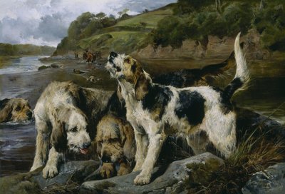 Caza de nutrias, o En el rastro de John Sargent Noble