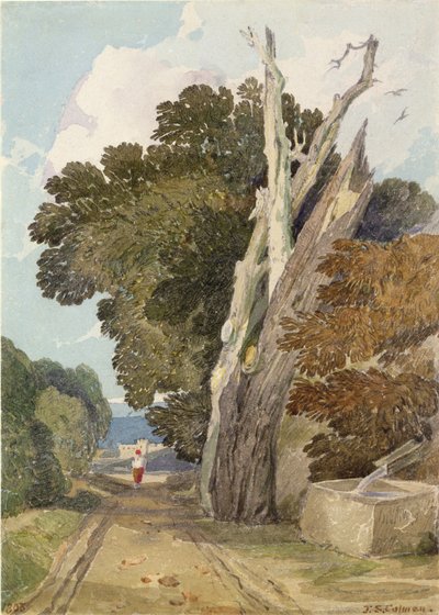 Un castaño español golpeado por un rayo de John Sell Cotman