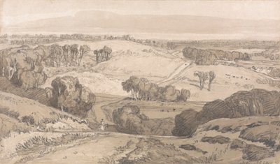 Holt Heath, cerca de Norwich de John Sell Cotman