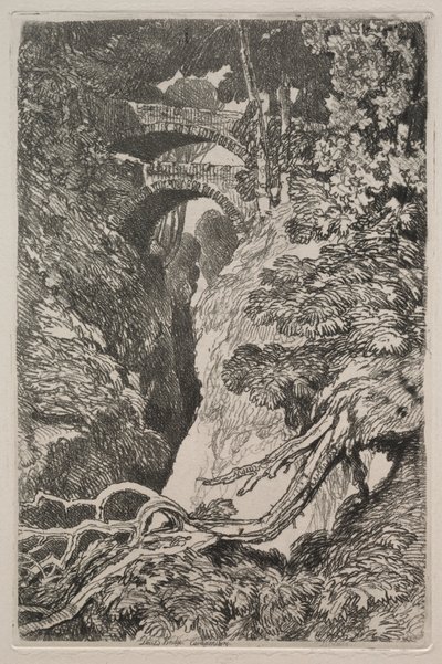 Liber Studiorum: Puente del Diablo, Cardiganshire de John Sell Cotman